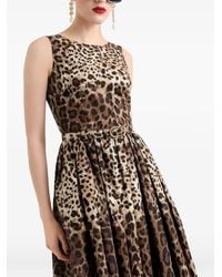 Dolce & Gabbana - Leo-Print Cotton Poplin Dress - Lyst