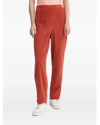 American Vintage - Ribfluwelen Broek Met Elastische Tailleband - Lyst