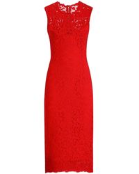 Dolce & Gabbana - Floral Midi Dress - Lyst