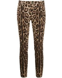 Dolce & Gabbana - Pantalones De Cinco Bolsillos Con Estampado De Leopardo - Lyst
