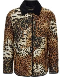 Roberto Cavalli - Leopard-Print Jacket - Lyst