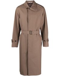 AURALEE - Belted Button-up Cotton Coat - Lyst