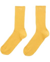 Baserange - Chaussettes En Maille Nervurée - Lyst