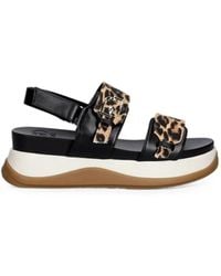 Liu Jo - Leopard-Print Logo-Plaque Sandals - Lyst