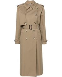Stella McCartney - Belted Cotton Trench Coat - Lyst