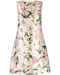 Dolce & Gabbana Jurk Met Lelie Print - Roze