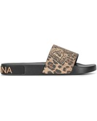 Dolce & Gabbana Leopard-print logo slides - Marron