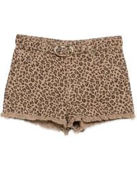 Twinset - Leopard-Pattern Shorts - Lyst
