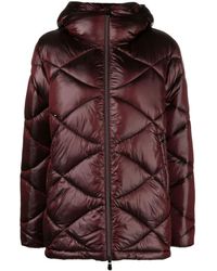 Save The Duck - Kimia Quilted Puffer Jacket - Lyst
