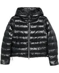 Herno - Padded Hooded Coat - Lyst