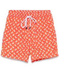Barba Napoli - Duck-Print Swim Shorts - Lyst