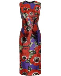 Dolce & Gabbana - Vestido con estampado Anemone - Lyst
