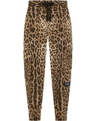 Dolce & Gabbana - Leopard-print Track Pants - Lyst