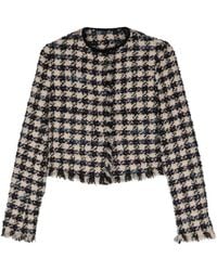 Forte Forte - クロップド ツイードジャケット - Lyst