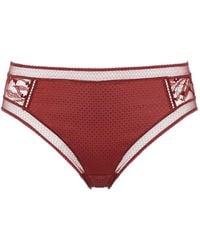 Eres - Brindille Lace-Panel Briefs - Lyst