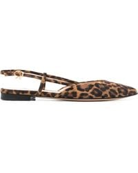 Gianvito Rossi - Leopard-Print Pointed Pumps - Lyst