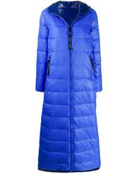 Pinko Piumino con cappuccio - Blu