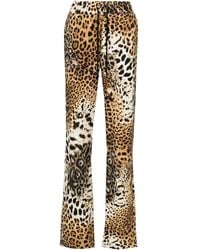 Roberto Cavalli - Jaguar Skin-Print Cotton Track Pants - Lyst