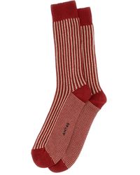 ANT45 - Capri Striped Ribbed Socks - Lyst
