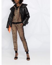 Philipp Plein レオパード トラックスーツ - ブラウン