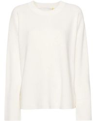 Aeron - Priam Geribbelde Trui - Lyst