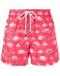 fedeli maillot de bain homme