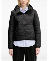 HUGO - Gesteppte Kapuzenjacke - Lyst