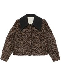 Alysi - Leopard-Print Wool Jacket - Lyst
