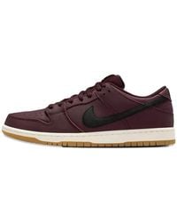 Nike - Sb Dunk Low Pro Leather Sneakers - Lyst
