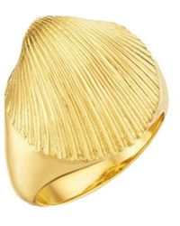 CADAR - Anello a sigillo Shell in oro giallo 18kt - Lyst