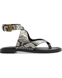 MICHAEL Michael Kors - Flache Irene Sandalen mit Schlangenmotiv - Lyst