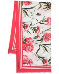 Dolce & Gabbana - Schal mit Blumen-Print - Lyst