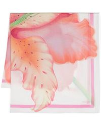 Maje - Floral-print Cotton Scarf - Lyst