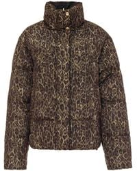 Just Cavalli - Leopard-Print Quilted Jacket - Lyst