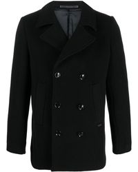 lauren labrada peacoat