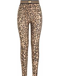 Dolce & Gabbana - Leopard-print Jersey leggings - Lyst