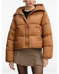 Pinko - Love Birds-Appliqué Padded Puffer Jacket - Lyst