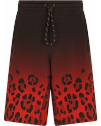 Dolce & Gabbana - Shorts Met Luipaardprint - Lyst