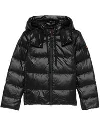 Peuterey - Gevoerd Jack Met Capuchon - Lyst
