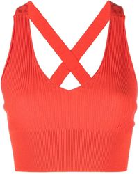 Iceberg - Sleeveless Ribbed-knit Cropped Top - Lyst