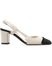 Roberto Festa - 65Mm Ficus Pumps - Lyst