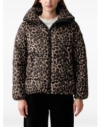 DKNY - Gefütterte Jacke Mit Leopardenprint - Lyst