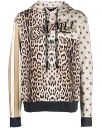 Roberto Cavalli - Sudadera con capucha y animal print - Lyst