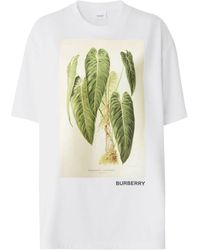 Burberry - Sketch-print Short-sleeve T-shirt - Lyst