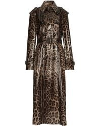 Dolce & Gabbana - Leopard-Print Coated Sateen Trench Coat - Lyst