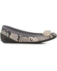 Dove Nuotano Gli Squali - Becky Snake-Print Appliqué Ballet Flats - Lyst
