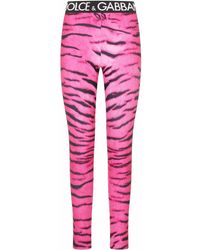 dolce and gabbana tights set