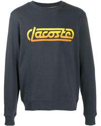 lacoste live jumper