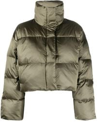 Calvin Klein - クロップド パデッドジャケット - Lyst
