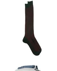 ANT45 - Menfi Long Ribbed-Knit Knee-High Socks - Lyst
